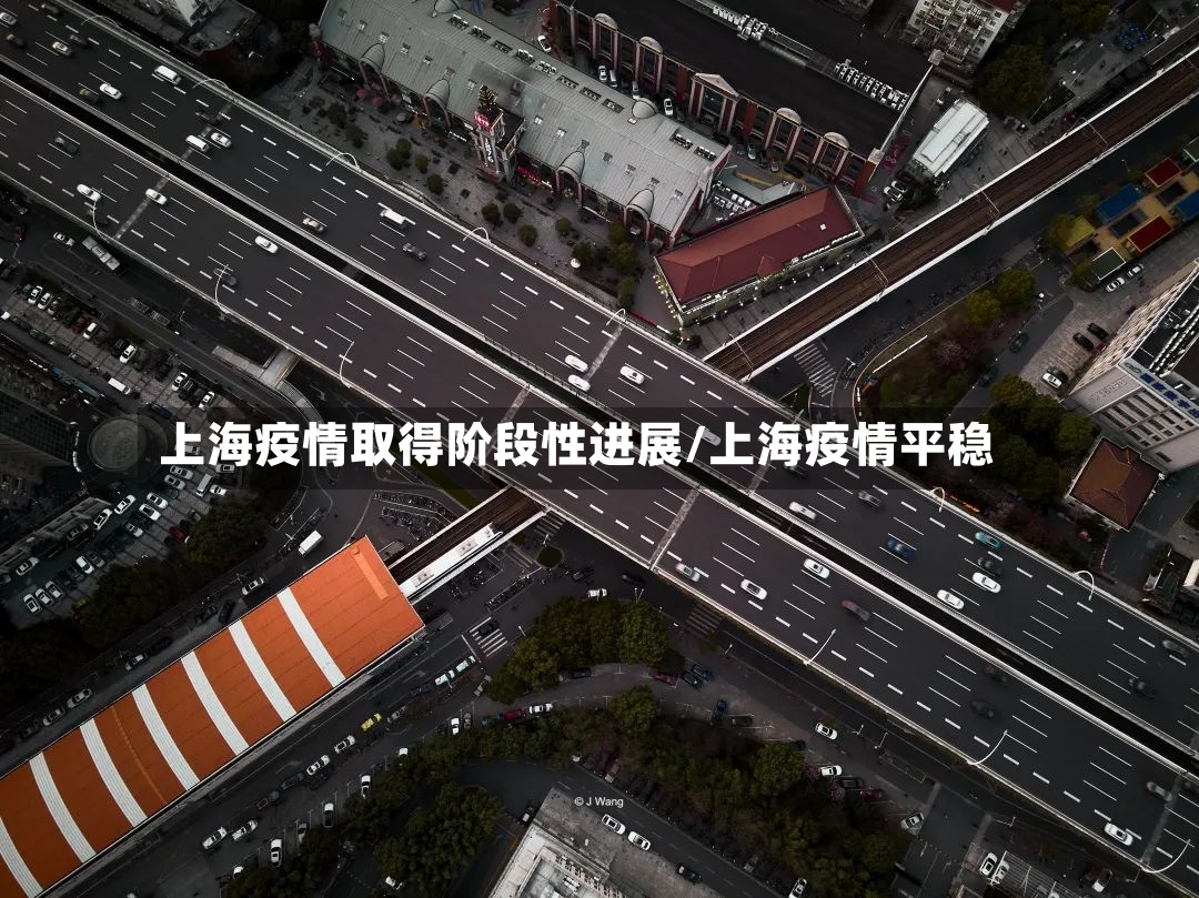 上海疫情取得阶段性进展/上海疫情平稳-第3张图片