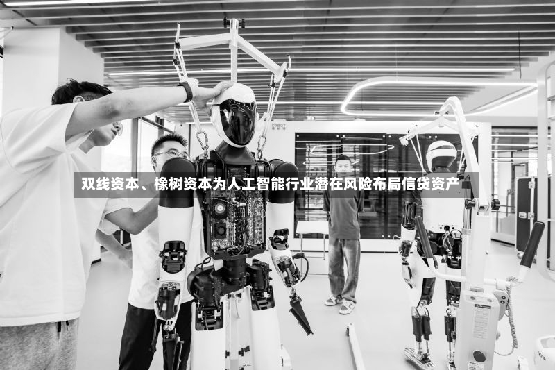 双线资本	、橡树资本为人工智能行业潜在风险布局信贷资产-第3张图片