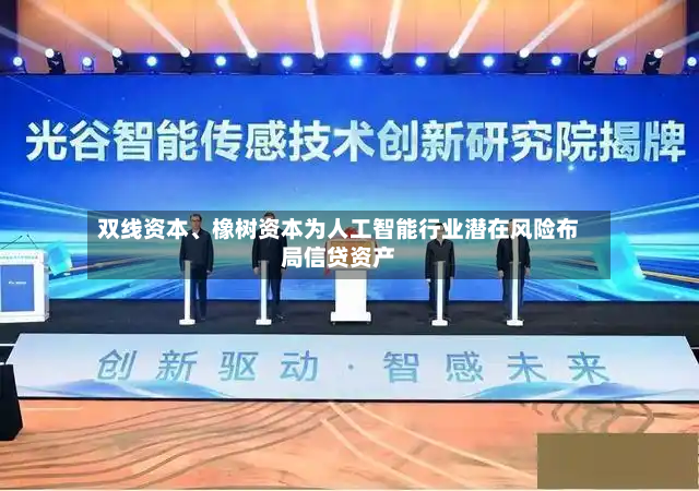 双线资本、橡树资本为人工智能行业潜在风险布局信贷资产-第2张图片
