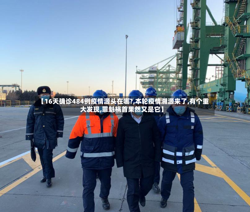 【16天确诊484例疫情源头在哪?,本轮疫情溯源来了,有个重大发现,罪魁祸首果然又是它】