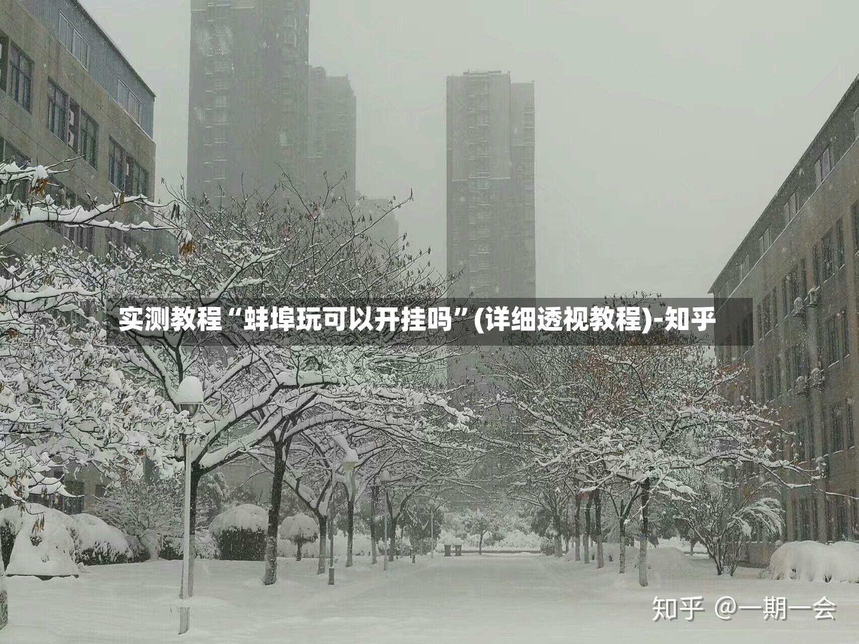 实测教程“蚌埠玩可以开挂吗”(详细透视教程)-知乎-第3张图片