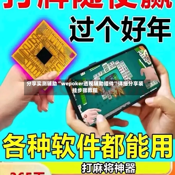 分享实测辅助“wepoker透视辅助插件”详细分享装挂步骤教程-第2张图片