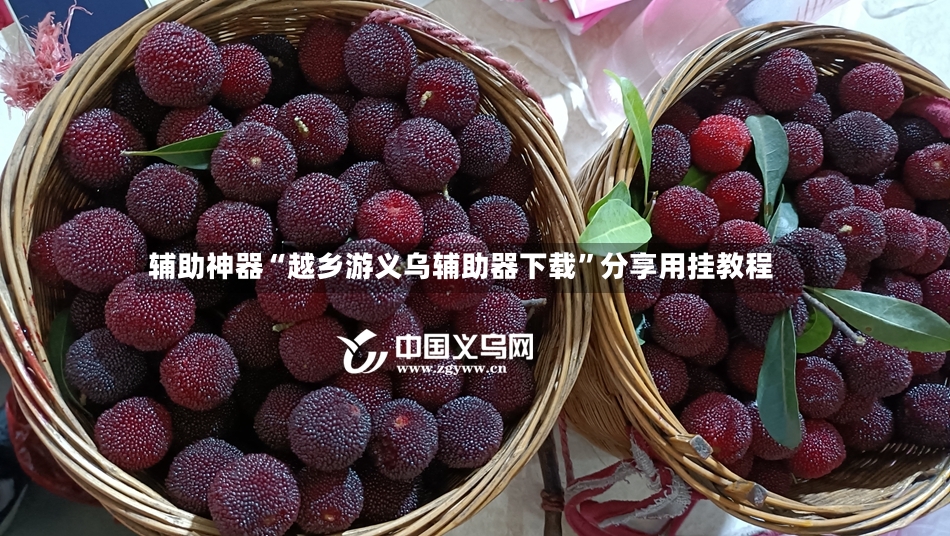 辅助神器“越乡游义乌辅助器下载”分享用挂教程-第2张图片