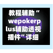 教程辅助“wepokerplus辅助透视插件	”详细分享装挂步骤教程-第2张图片