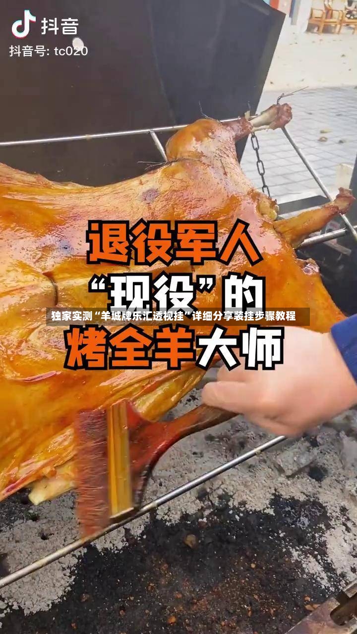 独家实测“羊城牌乐汇透视挂	”详细分享装挂步骤教程-第3张图片