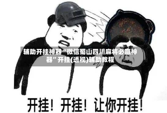 辅助开挂神器“微信蜀山四川麻将必赢神器”开挂(透视)辅助教程-第2张图片