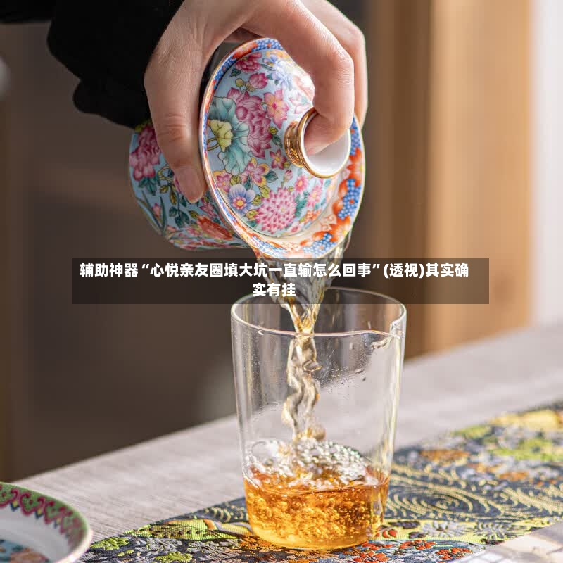 辅助神器“心悦亲友圈填大坑一直输怎么回事”(透视)其实确实有挂-第2张图片
