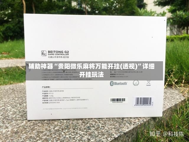 辅助神器“贵阳微乐麻将万能开挂(透视)”详细开挂玩法-第3张图片