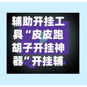 辅助开挂工具“皮皮跑胡子开挂神器”开挂辅助脚本+详细开挂-第2张图片