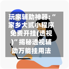 玩家辅助神器:“家乡大贰小程序免费开挂(透视)	”揭秘透视辅助万能挂用法-第2张图片