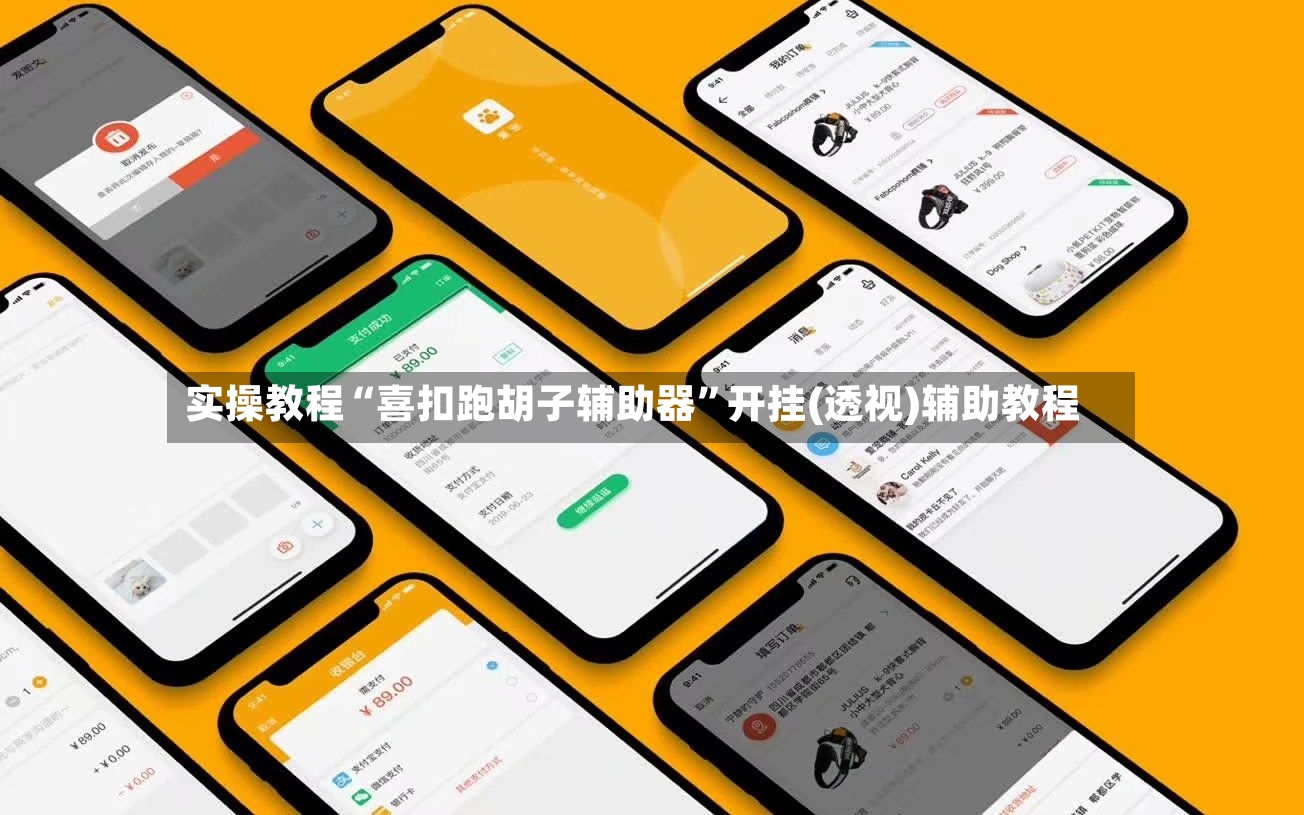实操教程“喜扣跑胡子辅助器”开挂(透视)辅助教程-第2张图片