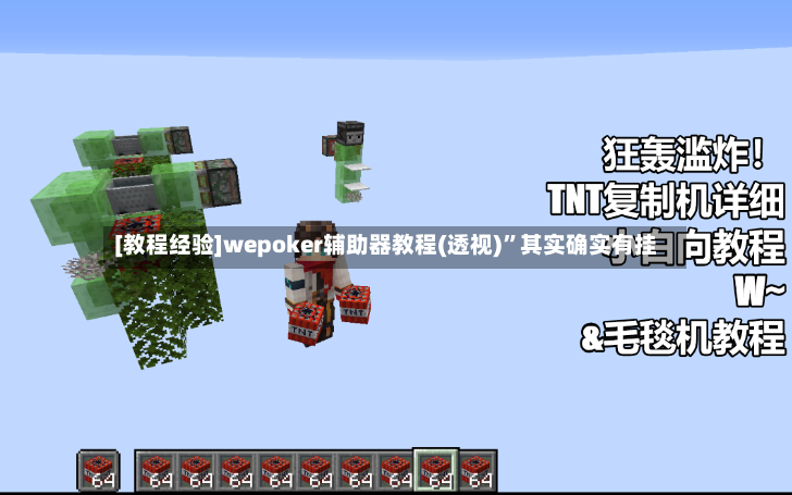[教程经验]wepoker辅助器教程(透视)”其实确实有挂-第2张图片