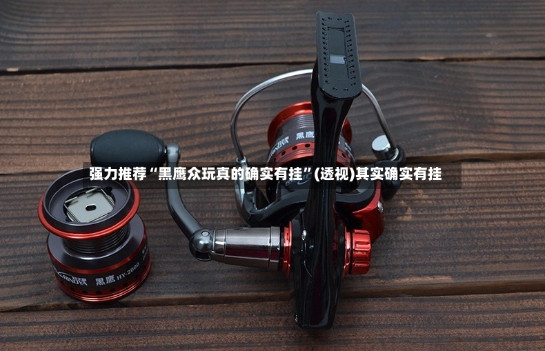 强力推荐“黑鹰众玩真的确实有挂”(透视)其实确实有挂-第3张图片