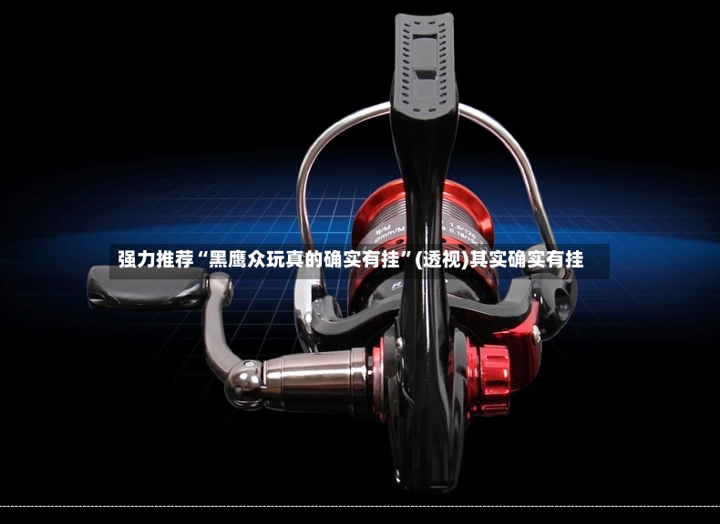 强力推荐“黑鹰众玩真的确实有挂”(透视)其实确实有挂