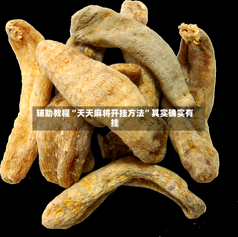 辅助教程“天天麻将开挂方法”其实确实有挂-第3张图片
