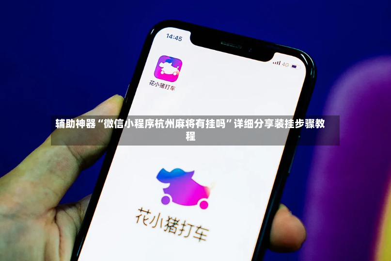 辅助神器“微信小程序杭州麻将有挂吗”详细分享装挂步骤教程-第3张图片