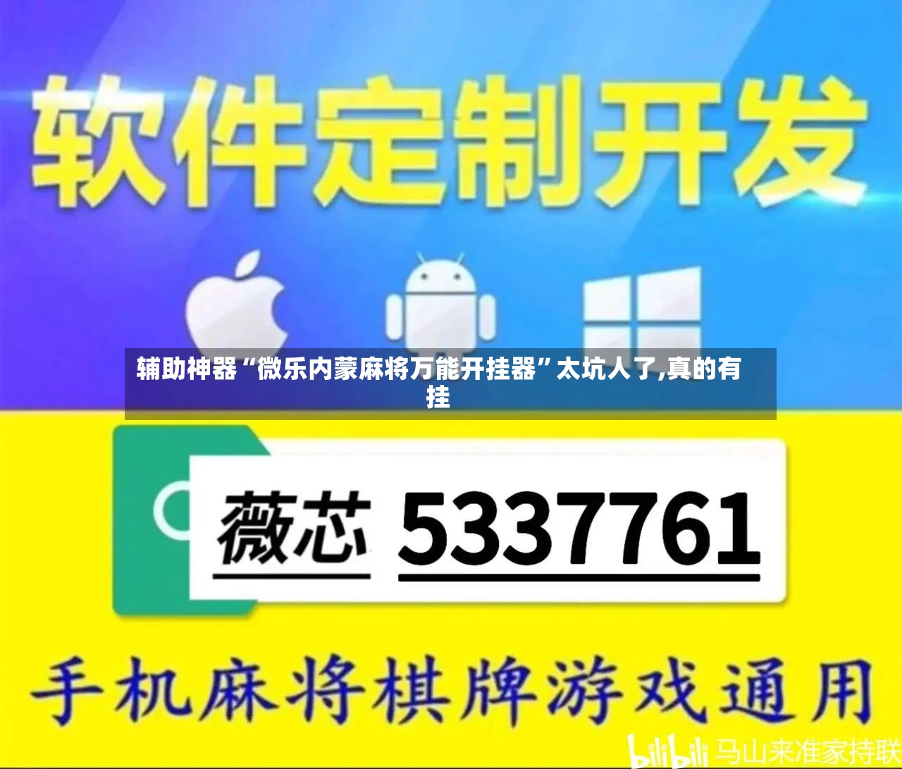 辅助神器“微乐内蒙麻将万能开挂器”太坑人了,真的有挂-第2张图片