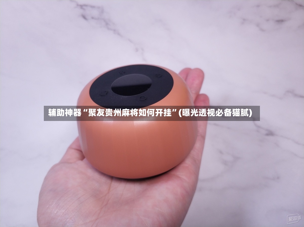 辅助神器“聚友贵州麻将如何开挂	”(曝光透视必备猫腻)-第2张图片