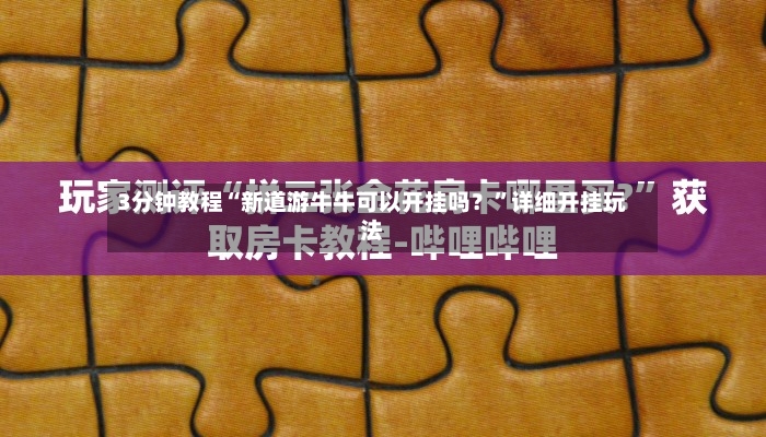 3分钟教程“新道游牛牛可以开挂吗？	”详细开挂玩法-第2张图片