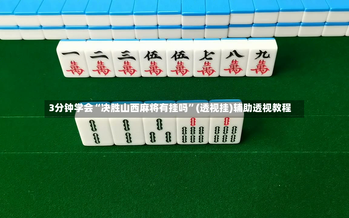 3分钟学会“决胜山西麻将有挂吗”(透视挂)辅助透视教程-第3张图片