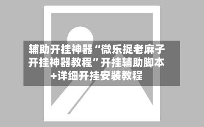 辅助开挂神器“微乐捉老麻子开挂神器教程”开挂辅助脚本+详细开挂安装教程