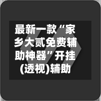最新一款“家乡大贰免费辅助神器	”开挂(透视)辅助-第2张图片