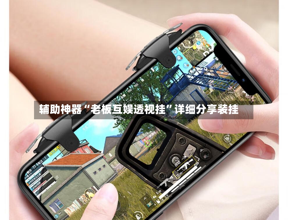辅助神器“老板互娱透视挂	”详细分享装挂-第2张图片