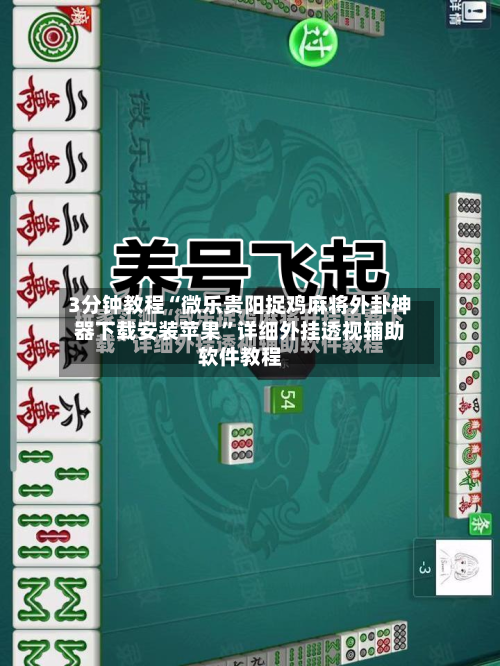 3分钟教程“微乐贵阳捉鸡麻将外卦神器下载安装苹果”详细外挂透视辅助软件教程