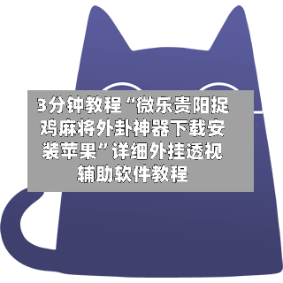 3分钟教程“微乐贵阳捉鸡麻将外卦神器下载安装苹果”详细外挂透视辅助软件教程-第2张图片