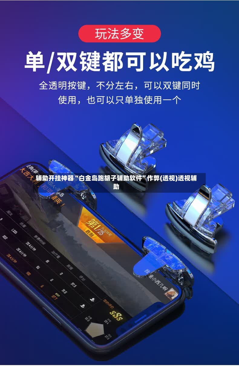 辅助开挂神器“白金岛跑胡子辅助软件	”作弊(透视)透视辅助-第2张图片