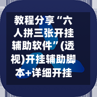教程分享“六人拼三张开挂辅助软件”(透视)开挂辅助脚本+详细开挂安装教程-第2张图片