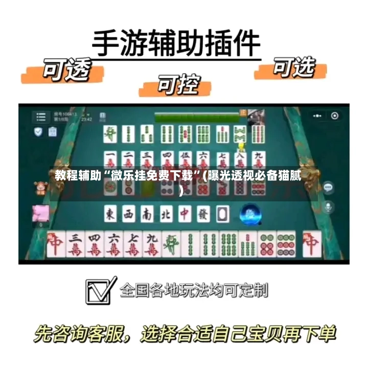 教程辅助“微乐挂免费下载	”(曝光透视必备猫腻)-第2张图片