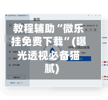 教程辅助“微乐挂免费下载”(曝光透视必备猫腻)-第3张图片