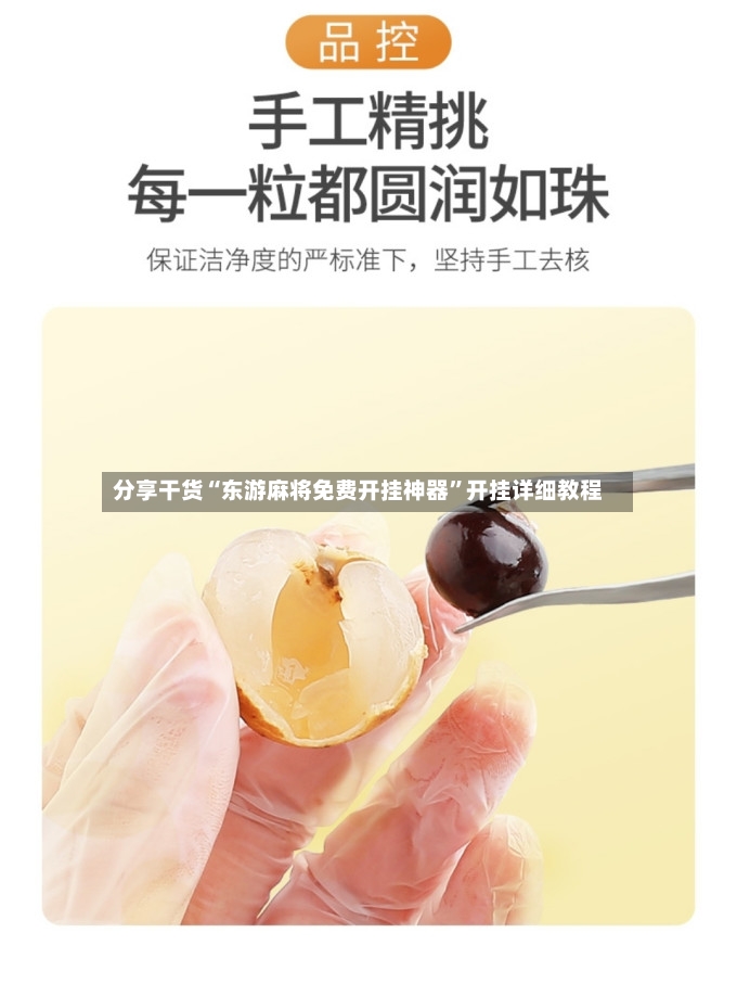 分享干货“东游麻将免费开挂神器	”开挂详细教程-第2张图片