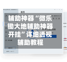 辅助神器“微乐锄大地辅助神器开挂”详细透视辅助教程-第3张图片