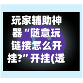 玩家辅助神器“随意玩链接怎么开挂?”开挂(透视)辅助教程-第3张图片