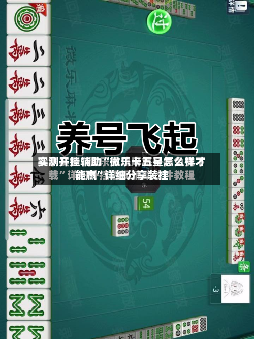 实测开挂辅助“微乐卡五星怎么样才能赢	”详细分享装挂-第2张图片