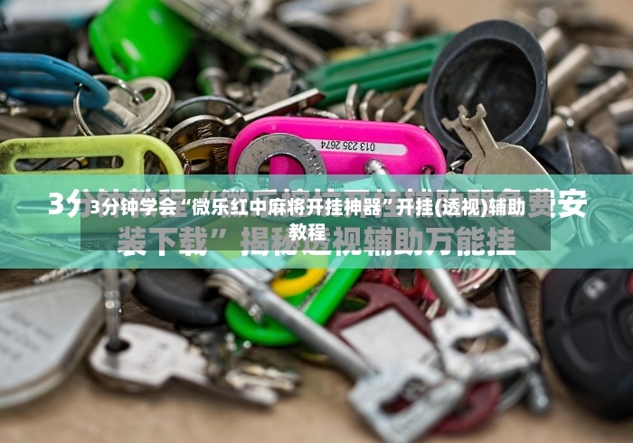 3分钟学会“微乐红中麻将开挂神器”开挂(透视)辅助教程-第3张图片