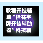教程开挂辅助“桂林字牌开挂辅助器	”科技辅助神器手机版教程-第3张图片