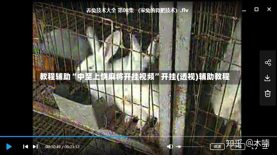 教程辅助“中至上饶麻将开挂视频”开挂(透视)辅助教程