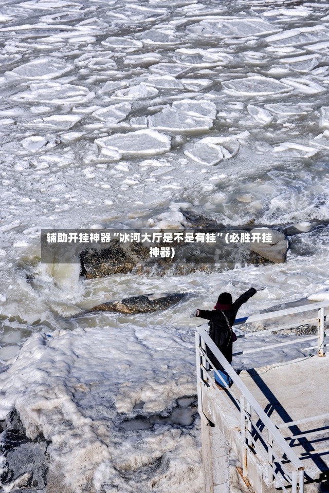 辅助开挂神器“冰河大厅是不是有挂”(必胜开挂神器)-第3张图片