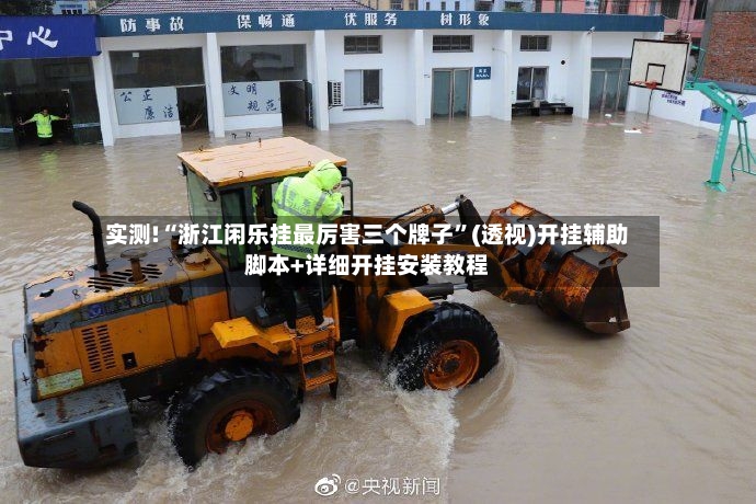 实测!“浙江闲乐挂最厉害三个牌子”(透视)开挂辅助脚本+详细开挂安装教程-第3张图片