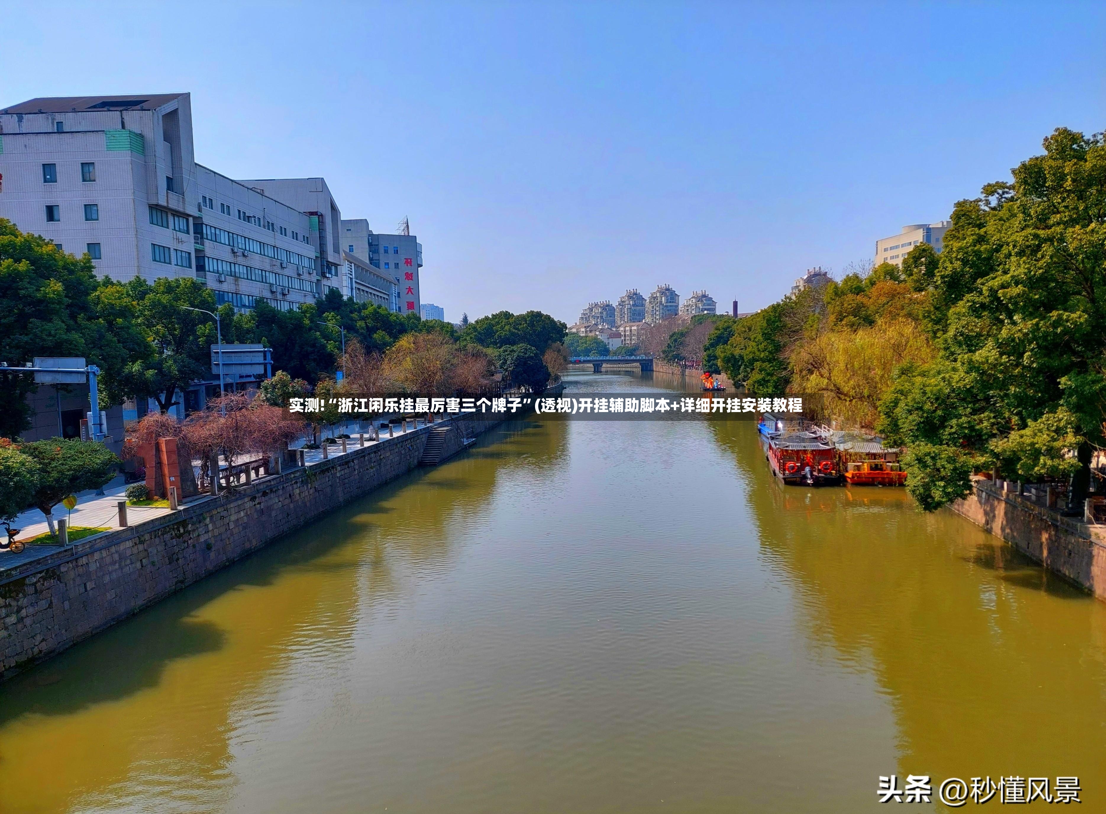 实测!“浙江闲乐挂最厉害三个牌子”(透视)开挂辅助脚本+详细开挂安装教程-第2张图片