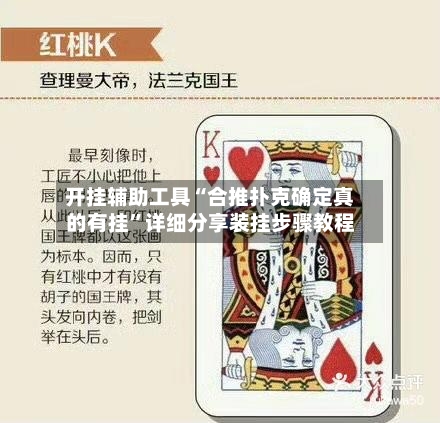 开挂辅助工具“合推扑克确定真的有挂”详细分享装挂步骤教程-第3张图片