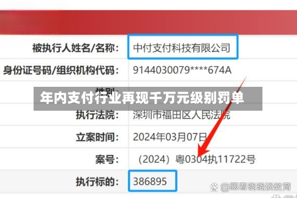 年内支付行业再现千万元级别罚单-第2张图片