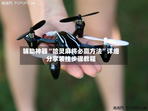 辅助神器“哈灵麻将必赢方法”详细分享装挂步骤教程-第2张图片