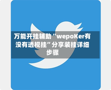 万能开挂辅助“wepoKer有没有透视挂”分享装挂详细步骤-第2张图片