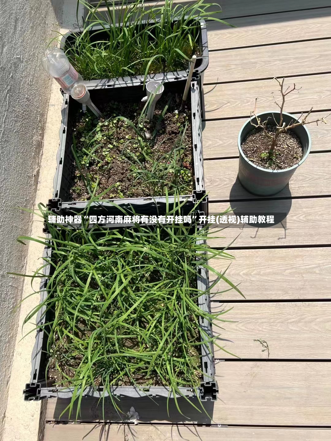 辅助神器“四方河南麻将有没有开挂吗”开挂(透视)辅助教程-第2张图片