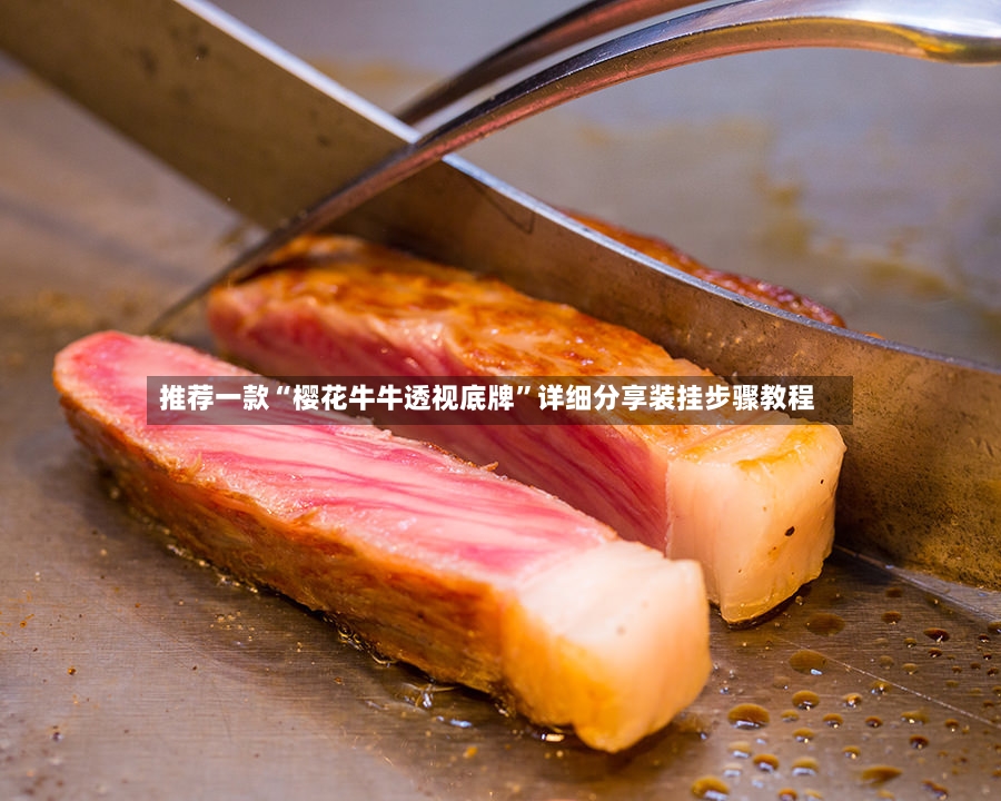 推荐一款“樱花牛牛透视底牌	”详细分享装挂步骤教程-第2张图片