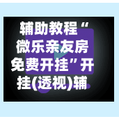 辅助教程“微乐亲友房免费开挂”开挂(透视)辅助神器-第3张图片